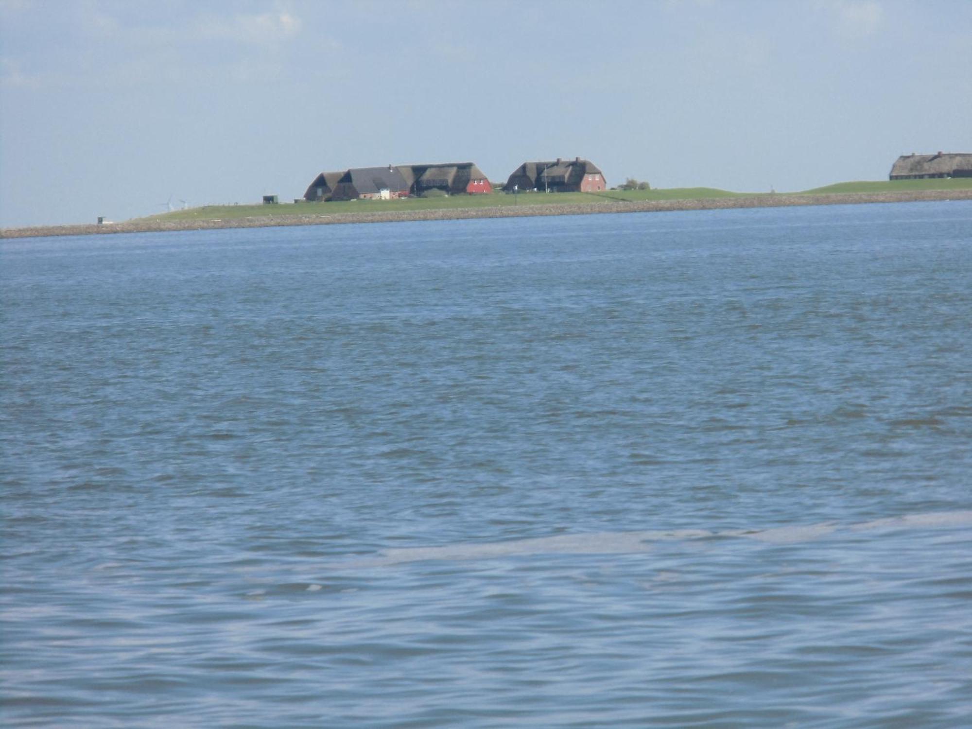 Haus Halligblick, Ferienwohnungen Am Wattenmeer, Whg Langenness Dagebüll Exterior foto